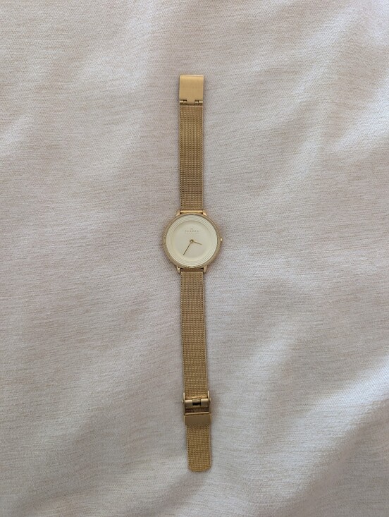 Accessories - Skagen Gold Watch